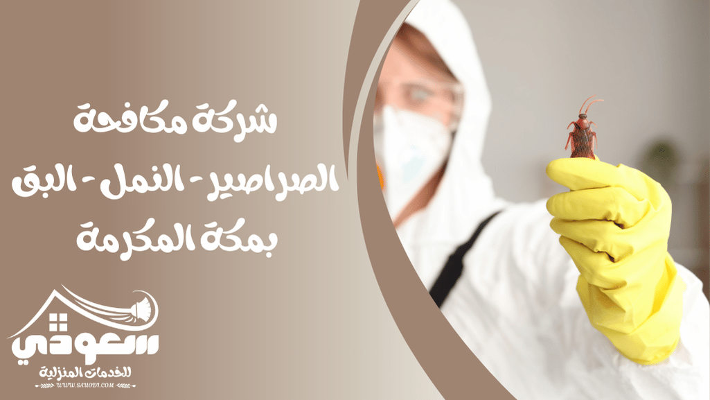 شركة مكافحة الصراصير والنمل والبق بمكة