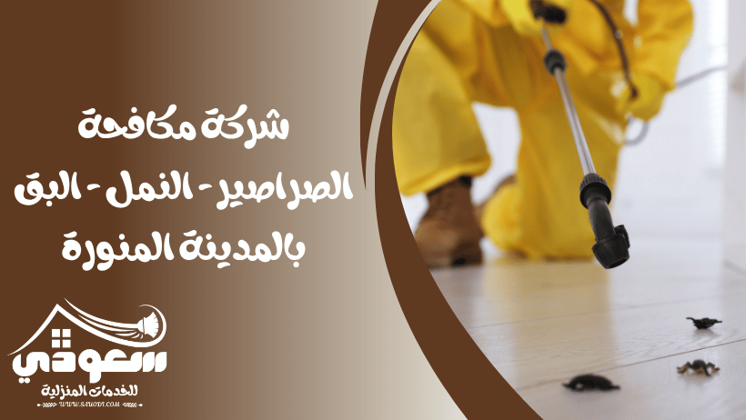 مكافحة الصراصير - النمل - البق بالمدينة المنورة