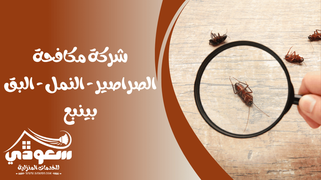 شركة مكافحة النمل - الصراصير - البق بينبع