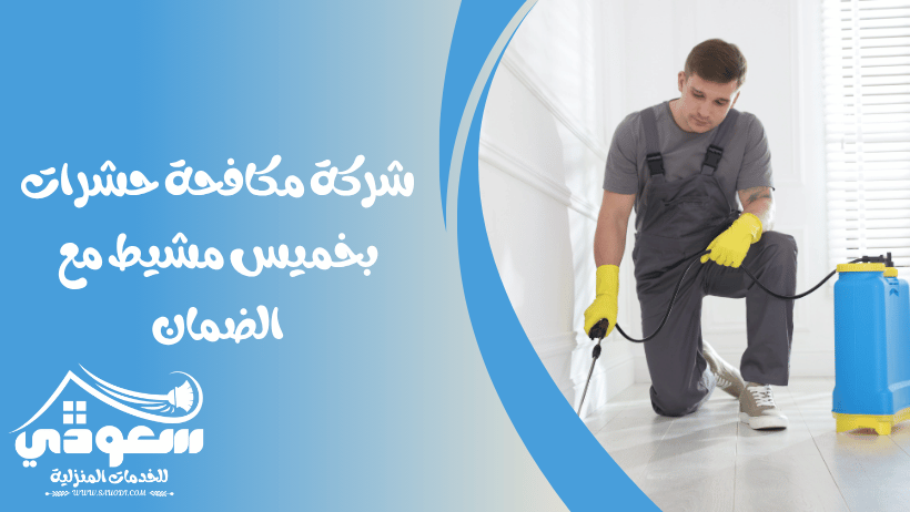 شركة مكافحة حشرات بخميس مشيط